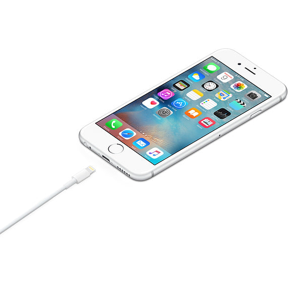 Apple Lightning to USB Cable 6ft (2m) - Rekes Sales